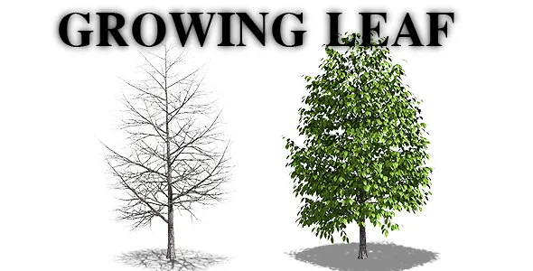 Prevuew Image Growing leaf