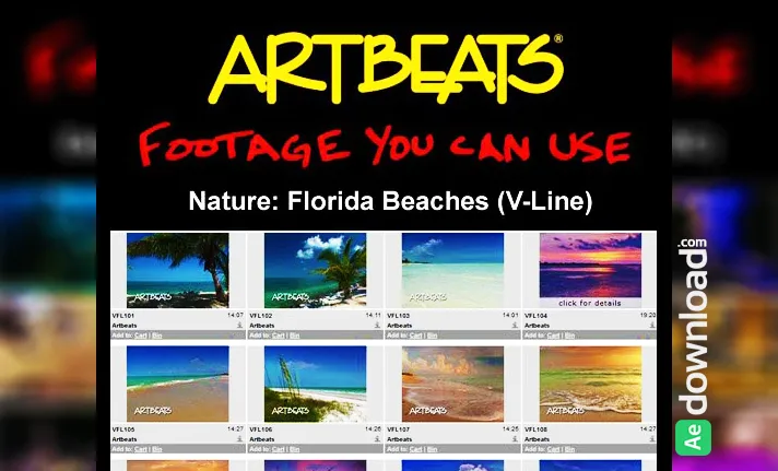 Free Download Artbeats Fooage Nature Florida Beaches V Line NTSC