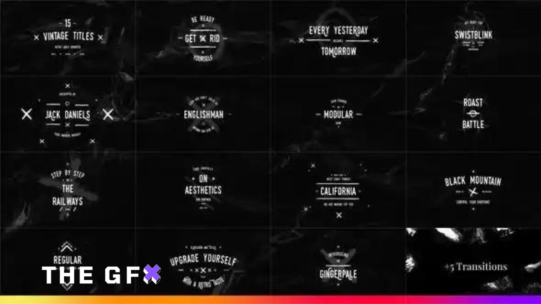 VIDEOHIVE 15 VINTAGE TITLES PACK 2