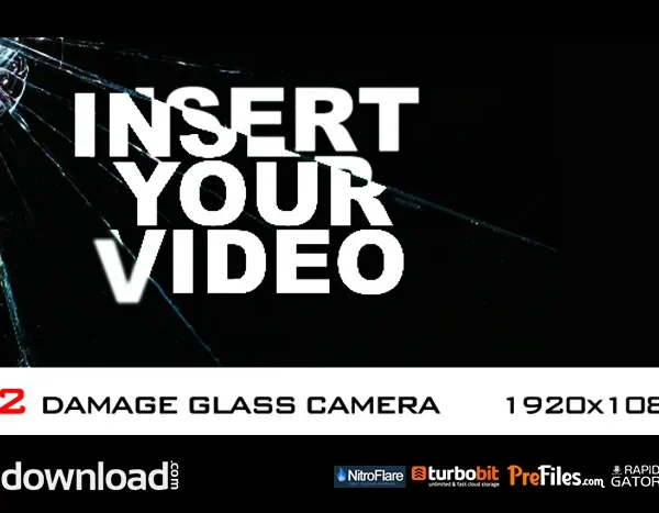 Damage Glass Camera 2 elements