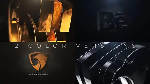 Gold And Silver Logo Reveal Preview Image